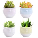 Cute Ceramic Planter teacher gifts