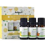 Essential Oils Beginners Set teacher gifts