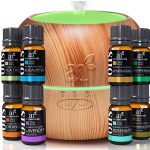 Essential Oils Set W Diffuser teacher gifts