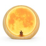 ambient light gifts for couples