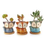 ceramic succulent teacher gifts