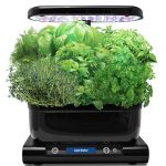 aerogarden