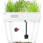 aquaponic garden