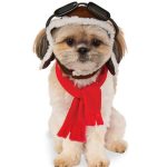 aviator dog costume