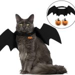 bat cat costume