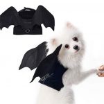 batwings dog costume