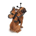 butterfly dog costume