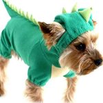 dinosaur dog costume
