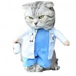 doctor cat costume