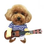 guitar player dog costume