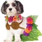 hula girl dog costume