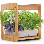 hydroponic garden