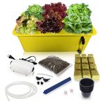 hydroponic growing kit