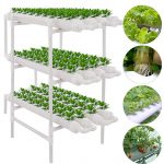 hydroponic site grow kit