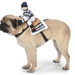jockey dog costume
