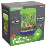 kids terrarium