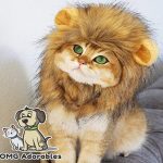 lion cat costume