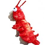 lobster dog costume