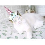 magestic unicorn cat costume