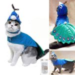 peacock cat costume