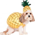 pineapple dog costume