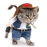 pirate cat costume