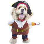 pirate dog costume