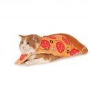 pizza cat costume