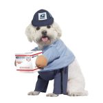 postal service dog costume