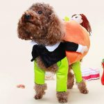 pumpkin carriers dog costume