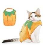 pumpkin cat costume