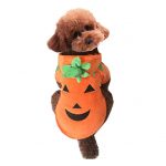 pumpkin dog costume