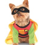 robin dog costume