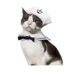 sailor cat costume
