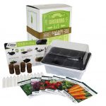 salsa garden