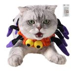 spider cat costume