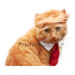 trump cat costume