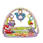 tummy time musical activity baby gym