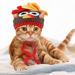 turkey cat costume