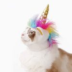 unicorn cat costume