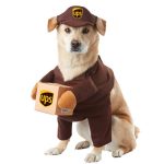 ups delivery person dog costume