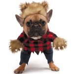 werewolf dog costume