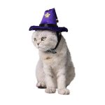wizard cat costume