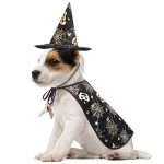 wizard dog costume